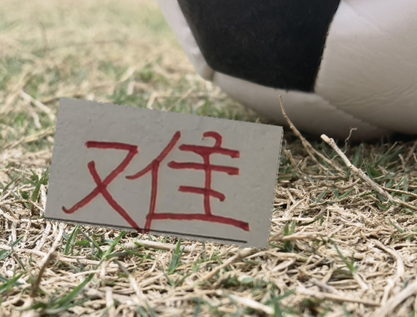 九游官网app下载-疲劳度加满！再加遇旧人徐新 卫冕冠军周末战云南 能避免两连败吗